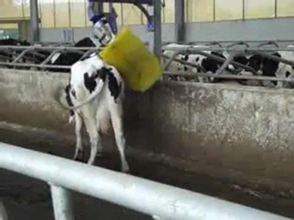 Domaine des Acacias Vic en Bigorre