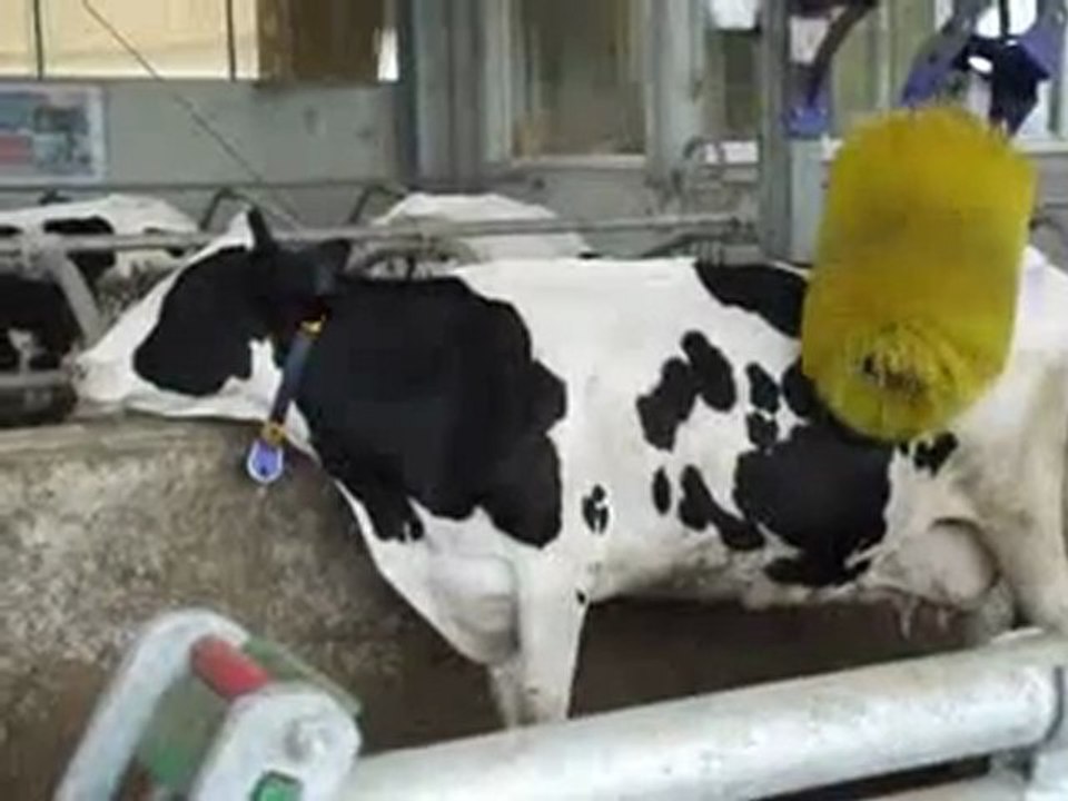 Domaine des Acacias Vic en Bigorre 2