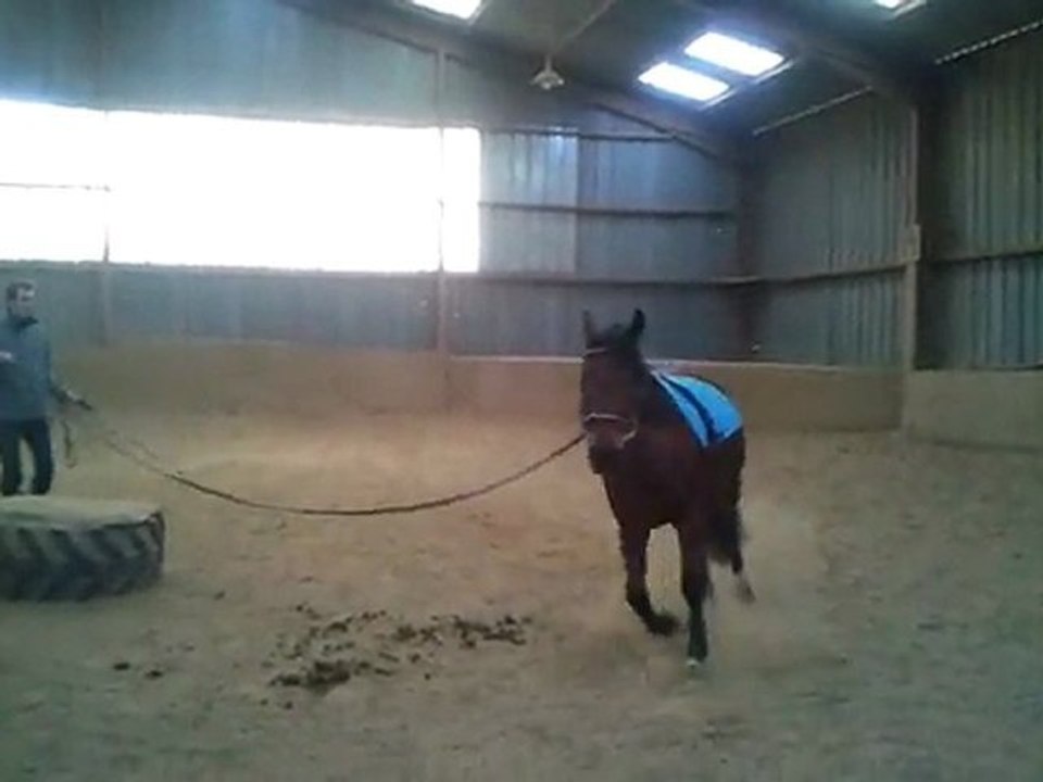 Nina après 2 mois de box !!!
