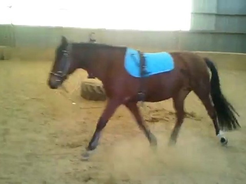 Nina après 2 mois de box