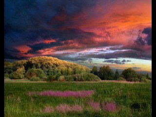 TO BYŁY PIĘKNE DNI