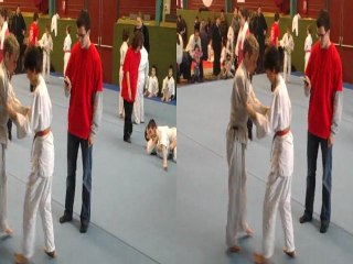 Judo 3D - Loïc - Louvigné du Désert - Février 2012
