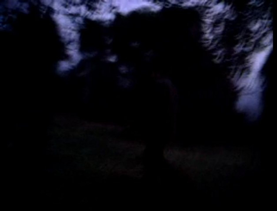 deutsch drahthaar Ayaz zorunlu aport