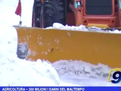 Agricoltura | 300 milioni i danni del maltempo
