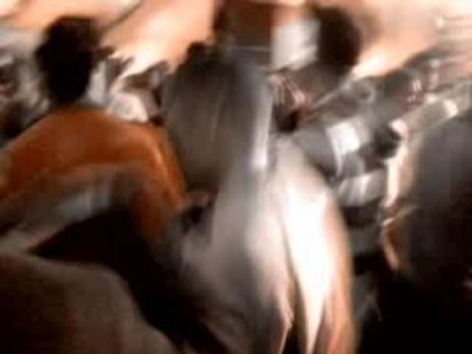 Q-base 2006 alpha 2