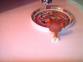 petshop trop cool je dort chez ma meilleur copine!!!