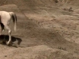 A vida da gente aquele beijo fina estampa