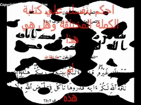 عمرو أديب و سليم العوا وفضيحة تحريف القرأن