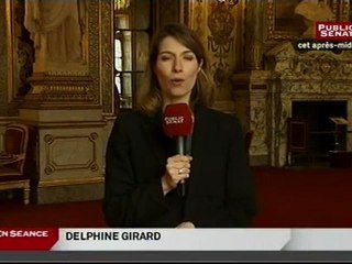 SEANCE,Projet de Loi relatif à l'égalité salariale entre les hommes et les femmes