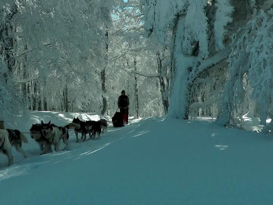 Ascension d'Okabe en chiens de traîneau