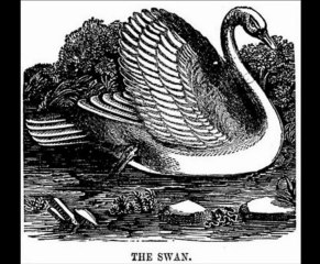 The Sleep Tights - " Silver Ship "