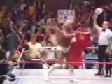WWE-Universal - Hulk Hogans Real American Titranton