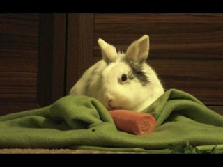 Zadanie 1 od Agata Anna Korona