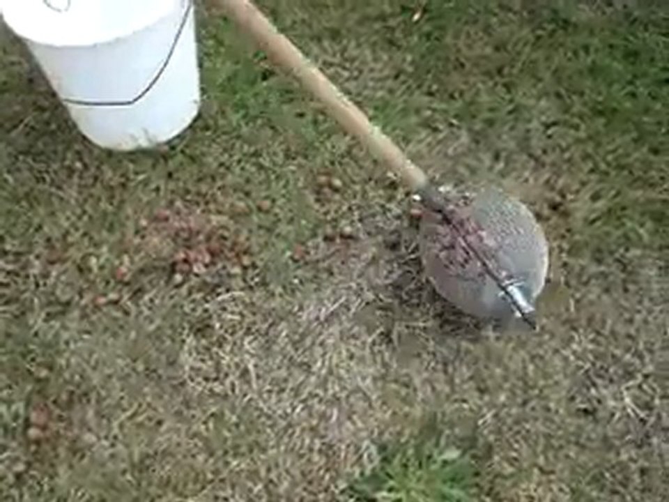 Yerden fındık toplama aparatı  www.kumanda.org