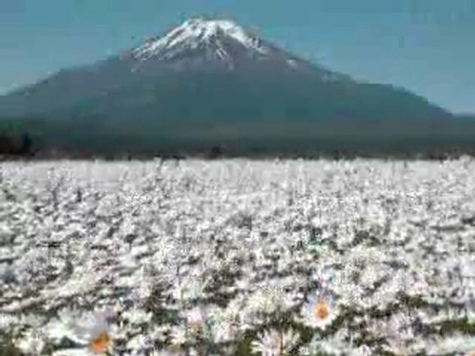 Oğuz Boran - Yarını Yok - EoTeN