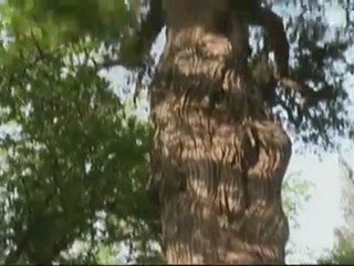 Prochain arrêt Pékin (5-5) - Pékin intime