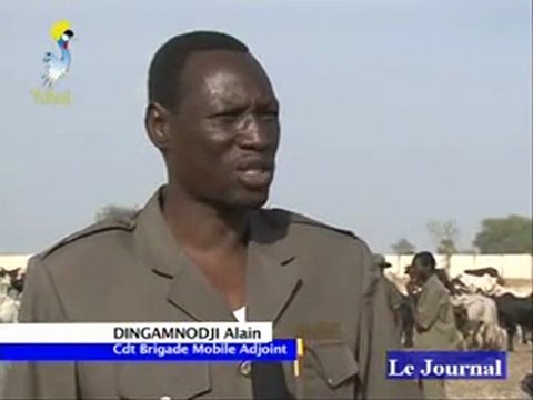 GRAND JT TCHAD FRANCAIS DU 22 FEV 2012 SUR TCHADONLINE.COM