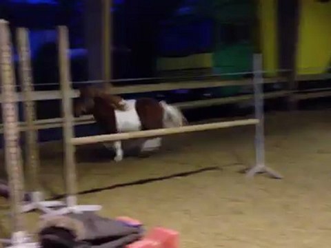 Arlequin premiers sauts en liberté 2