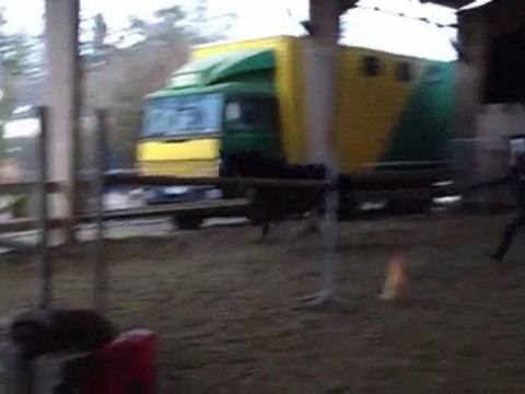 Vegas saut en liberté 3 ans 2