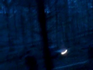 souvenir Lince iltis