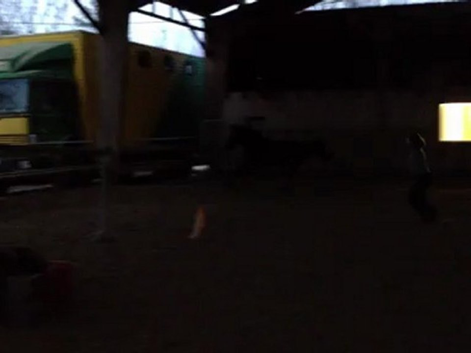 Vegas Saut en liberté 3 ans 5