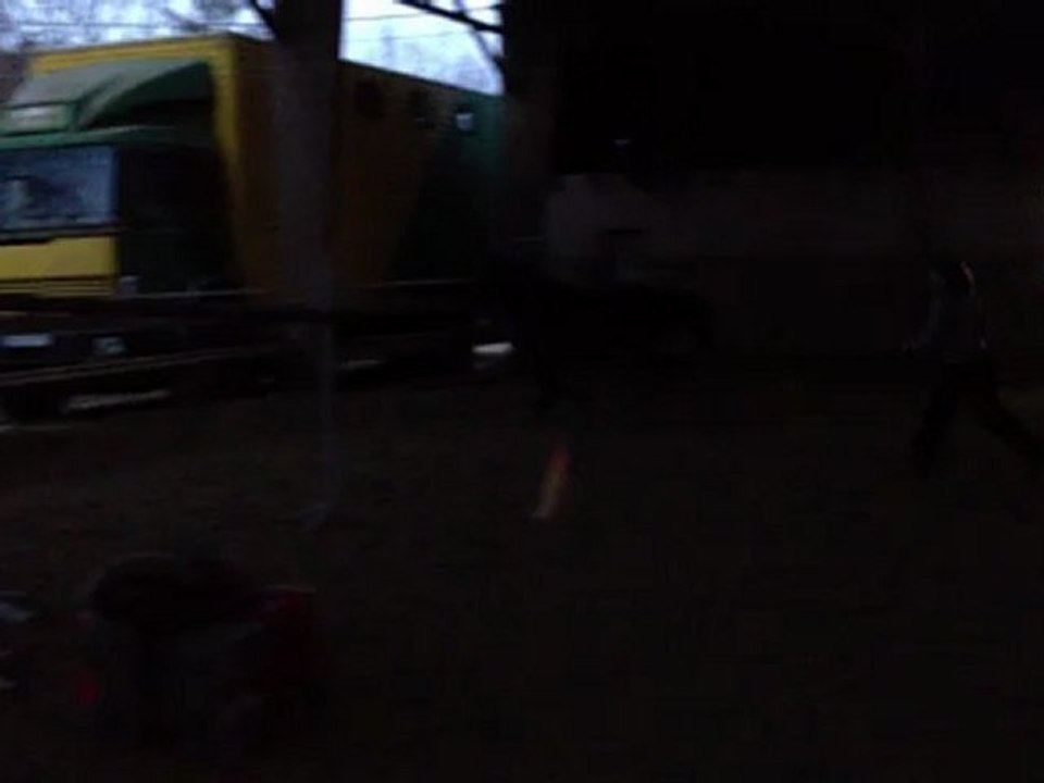 Vegas Saut en liberté 3 ans 6