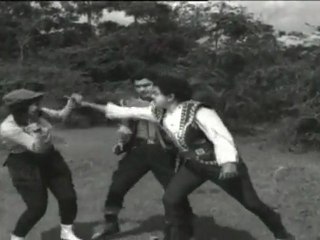 Bandhipotu Dongalu - Anr Rescues Jamuna