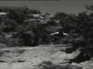 Bandhipotu Dongalu- ANR robbery