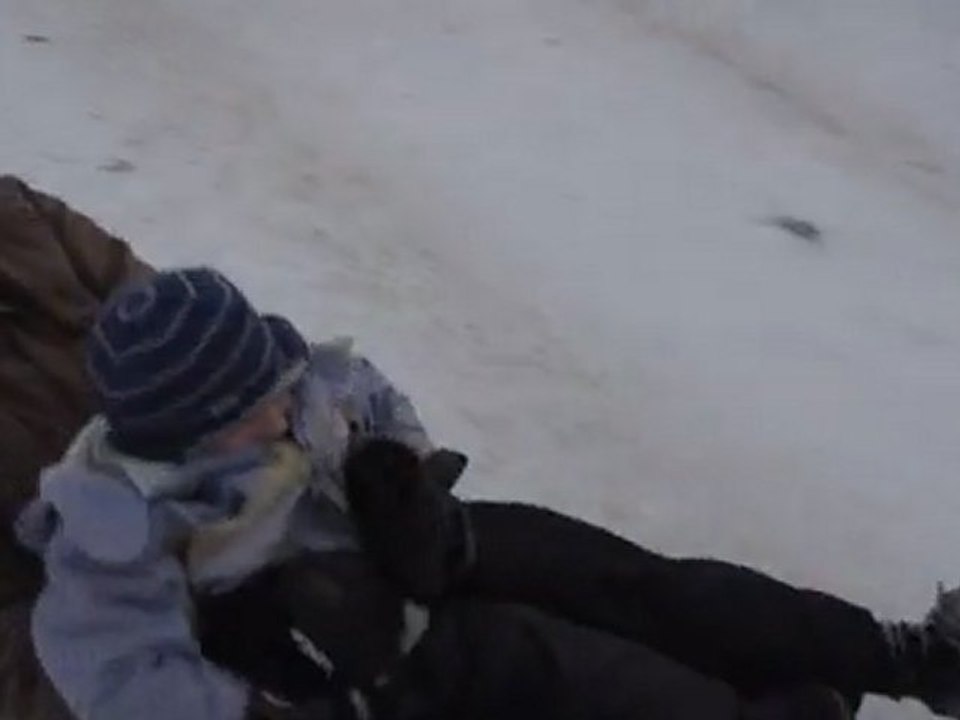 descente en luge