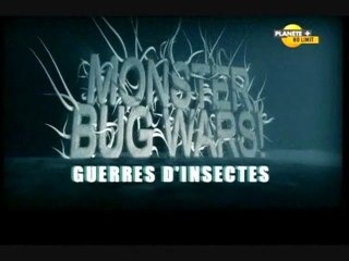 Guerres d'insectes (Épisode 2)