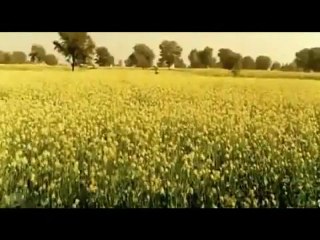 Tere Liye - Star Plus