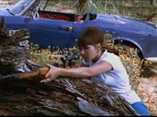 Pierrot le Fou ( bande annonce )