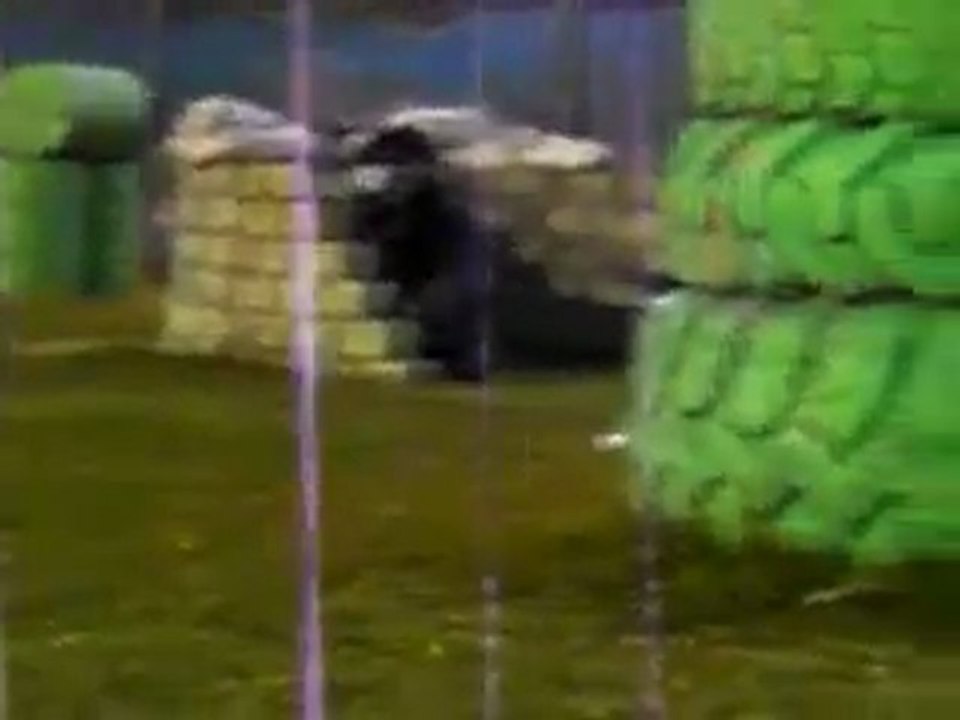 paintball game@kuwait