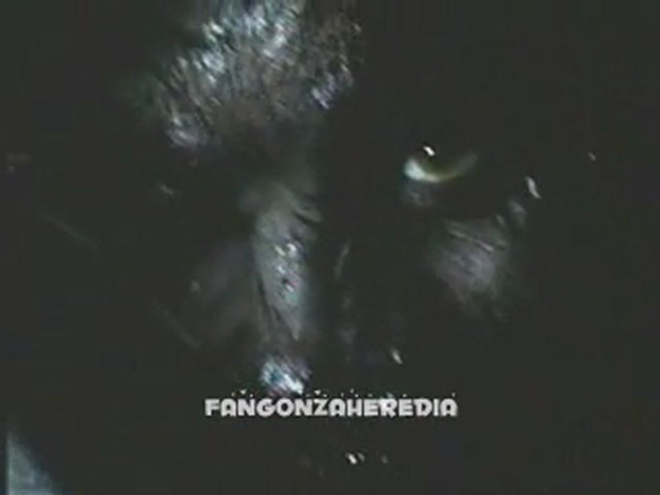 Promo Lobo 9 capitulo Este Martes 23 hs  21.02.12