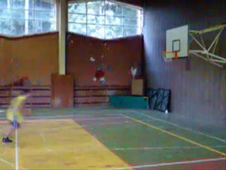 I believe I can Fly (dimo)