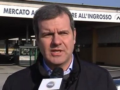 traffico limitato fioccano le multe