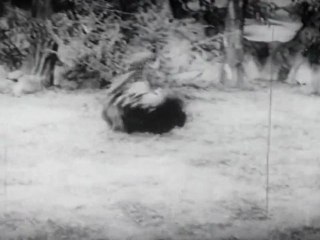 Bulokam Lo Yamalokam - Saint Comedy