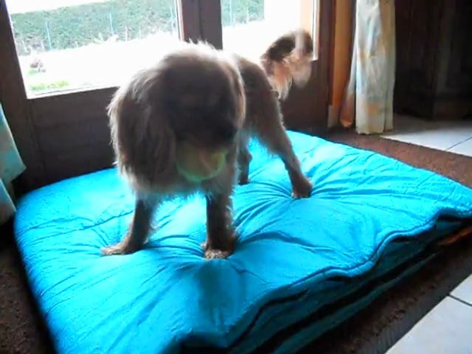 Jeux