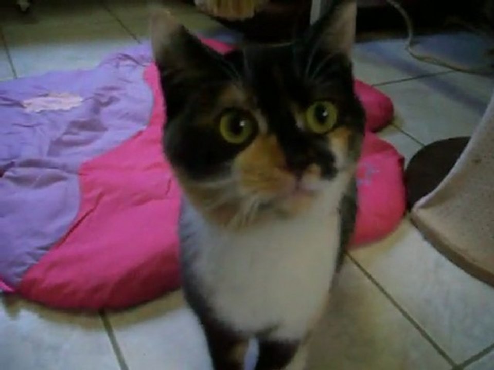 craintive mais curieuse