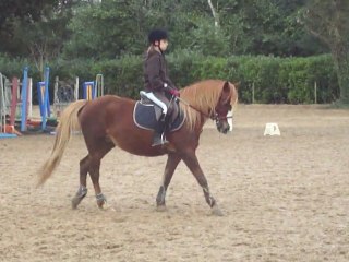 Ma reprise de dressage du galop 4 avec Jade :)