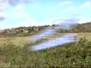 deux flics a miami (picardievice)