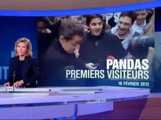 Pandas Sarkozy au JT de TF1