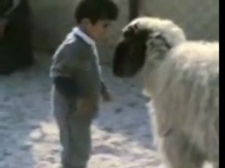 Violent confrontation