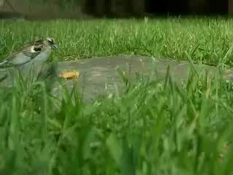 CUANDO LOS HIJOS PREGUNTAN SE LES RESPONDE CON AMOR Y PACIENCIA CUANDO LOSPADRES VIEJOS PREGUNTAN SE LE CONTESTA DE ESTA MANERA