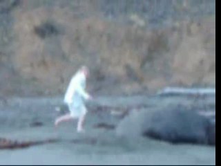 Elephant Seal Wake-Up Prank