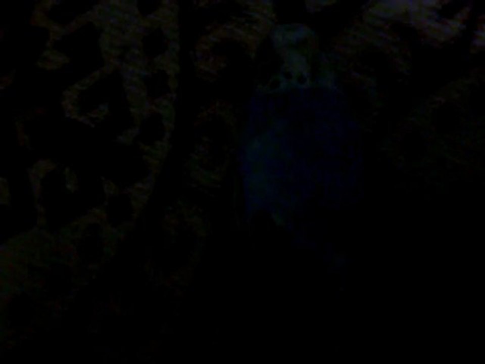 Video0010