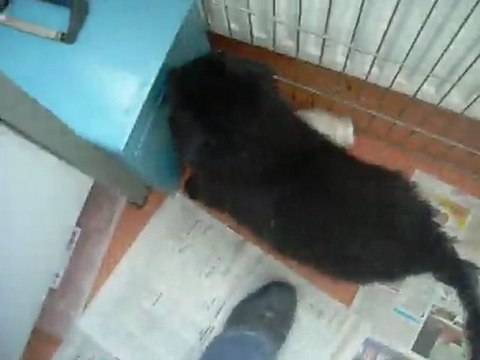 19 février 2012 : Haer à 5 semaines et demi