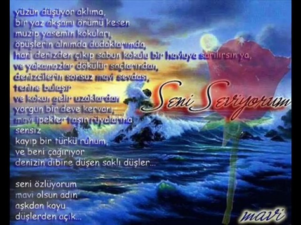 dailymation ve youtubeyi sarsan müzik