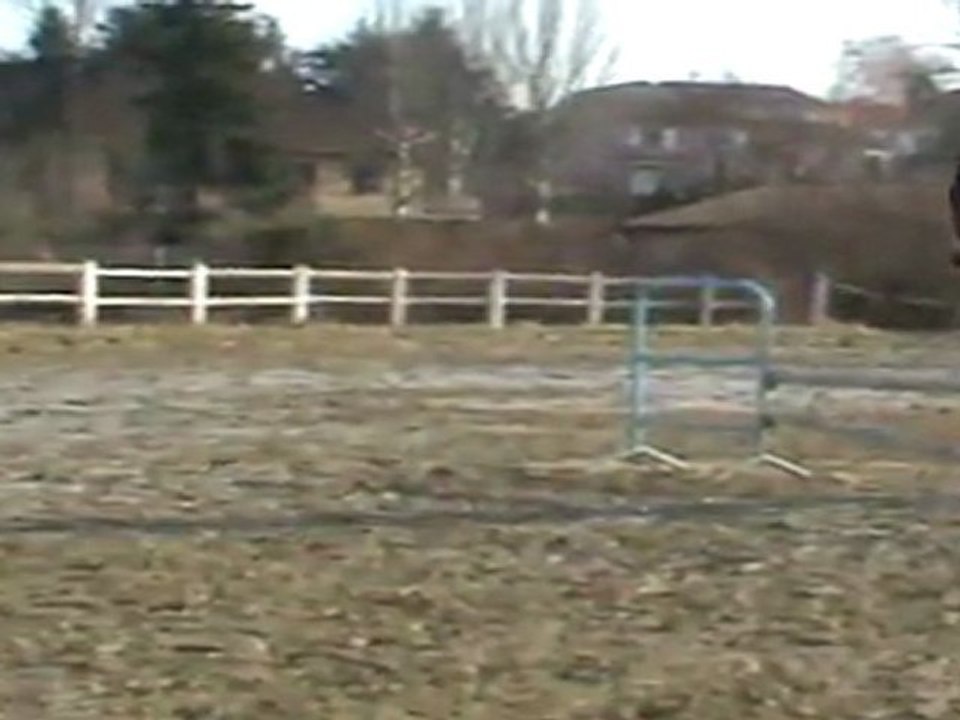 M2U00273