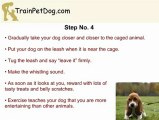 How To Stop Your Basset Hound From Tracking Smaller Animals?